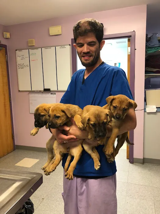 Riverside Veterinary Hospital Picture 8