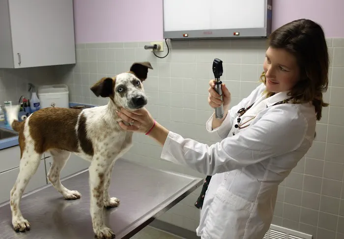 Riverside Veterinary Hospital Picture 6