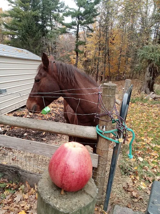 Genesee Valley Equine Clinic Picture 8