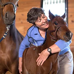 Genesee Valley Equine Clinic Picture 2