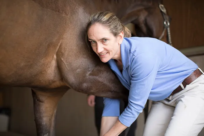 Genesee Valley Equine Clinic Picture 9