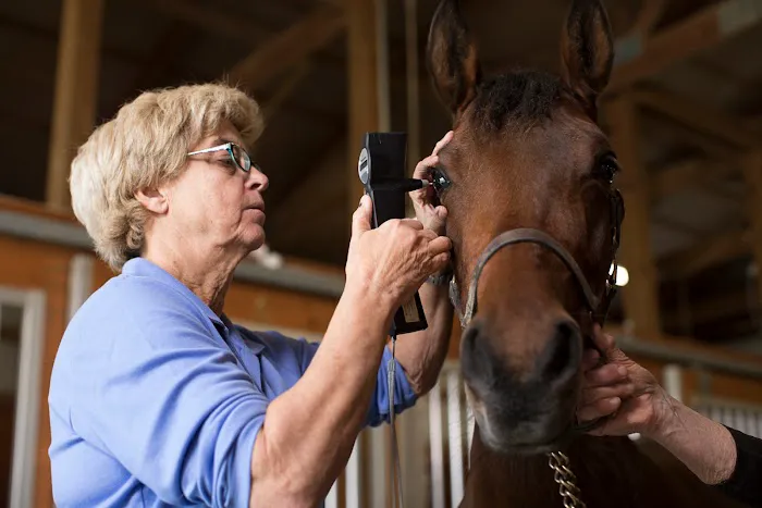 Genesee Valley Equine Clinic Picture 10