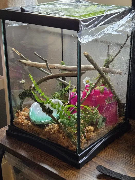 Secondhand Pet Supply Picture 2