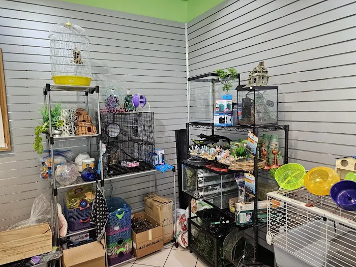 Secondhand Pet Supply Picture 9