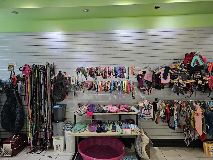 Secondhand Pet Supply Picture 8
