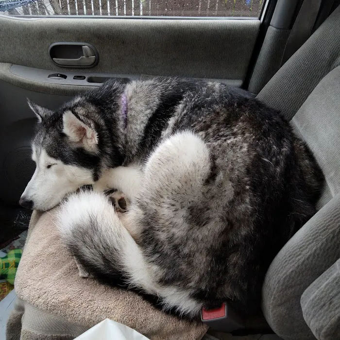 Unleashed by Petco Picture 1