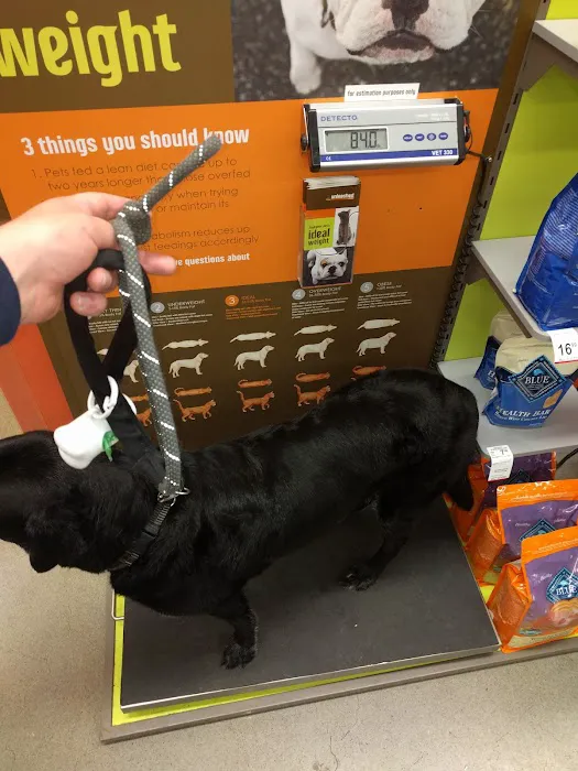 Unleashed by Petco Picture 5