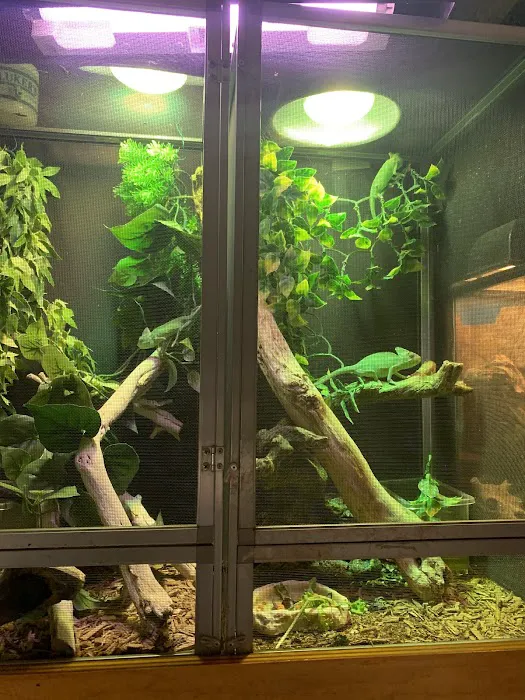 Tropical Hut Picture 9