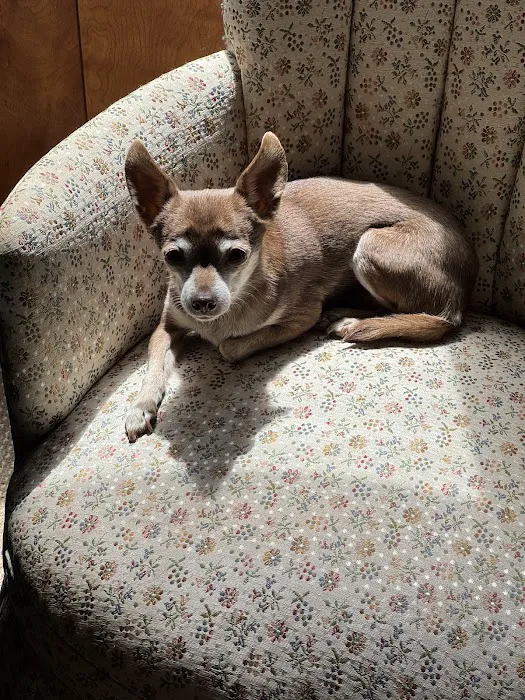 South Towne Veterinary Hospital Picture 8