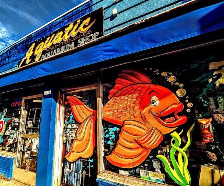 Aquatic Maintenance Store