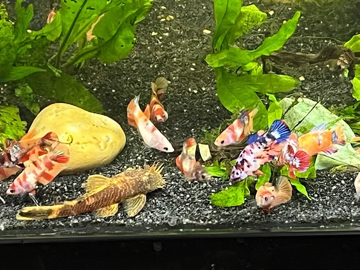 Aquatic Maintenance Store Picture 10
