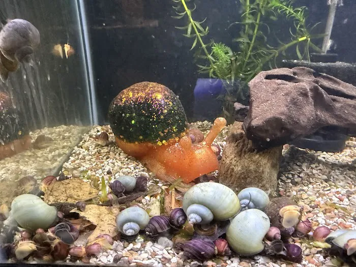 Aquatic Maintenance Store Picture 9