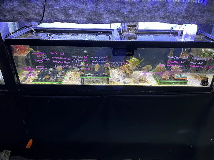 Aquatic Maintenance Store Picture 6