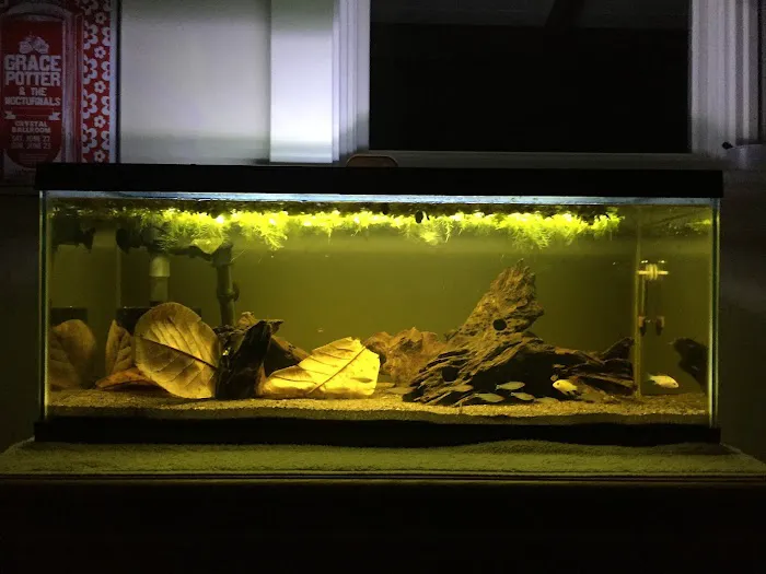 The Wet Spot Tropical Fish Picture 5