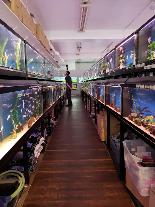 The Wet Spot Tropical Fish Picture 2