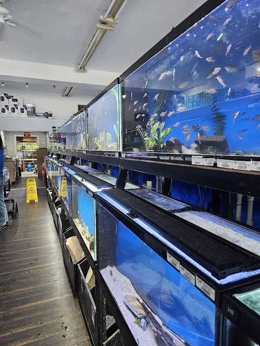 The Wet Spot Tropical Fish Picture 6