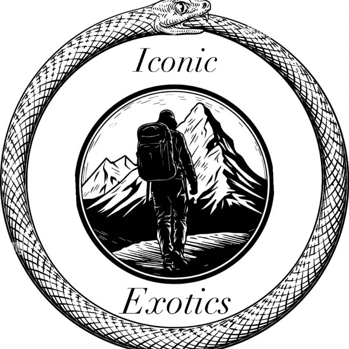 Iconic Exotics Picture 2