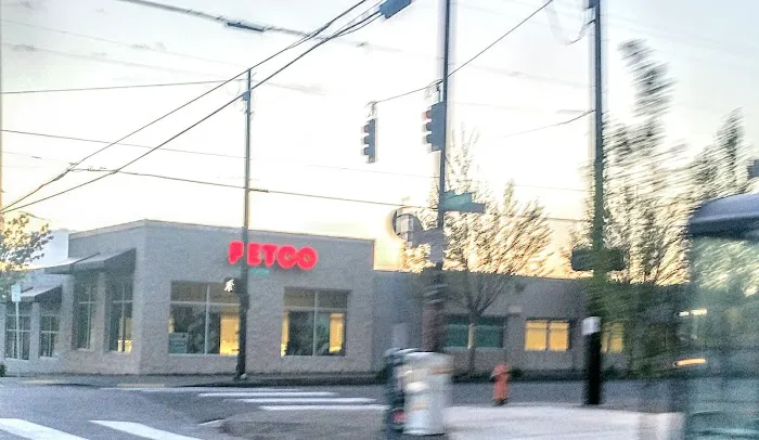 Petco Picture 5