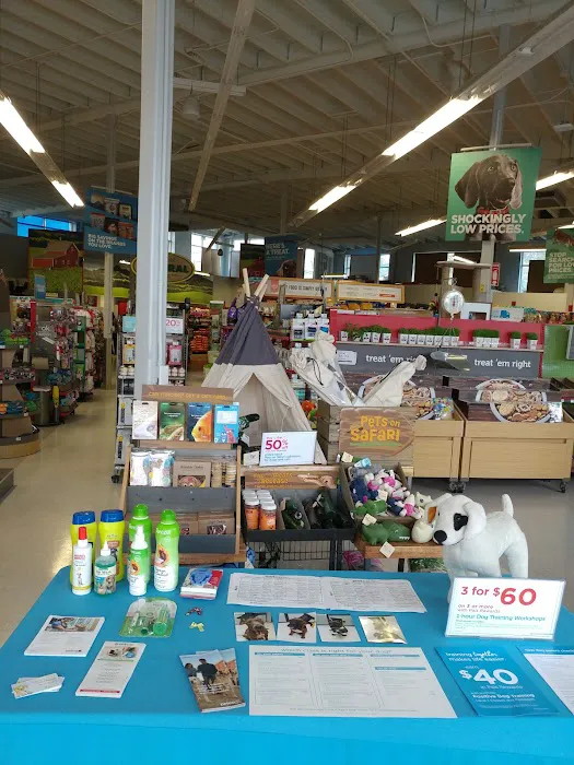 Petco Picture 8