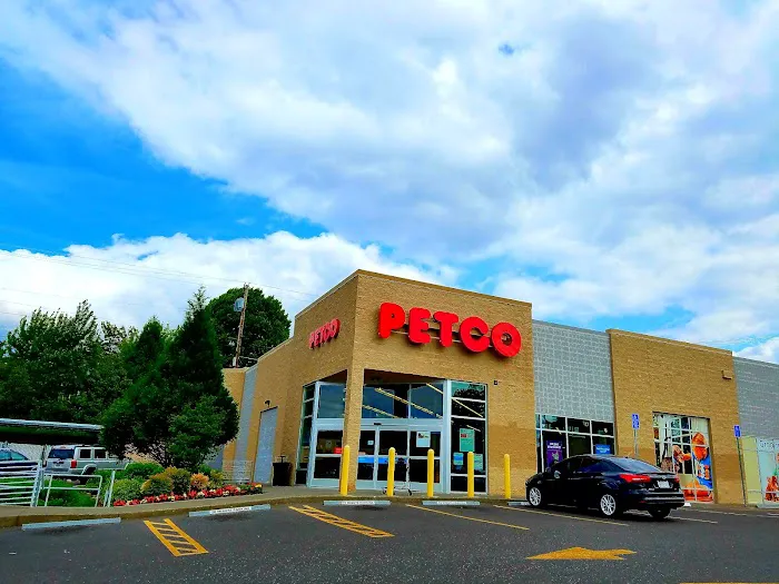 Petco Picture 9