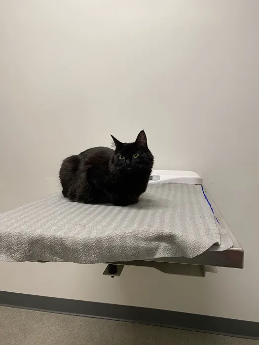 Roseway Veterinary Hospital Picture 5