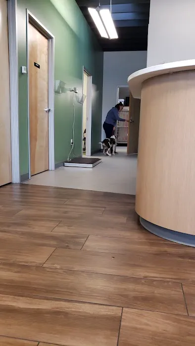 Roseway Veterinary Hospital Picture 8