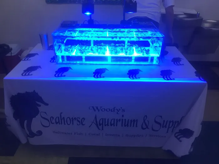 Woody's Seahorse Aquarium & Supply Picture 5