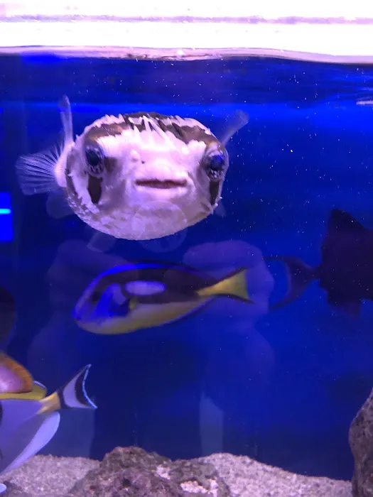 Woody's Seahorse Aquarium & Supply Picture 7