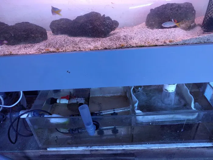 Woody's Seahorse Aquarium & Supply Picture 1