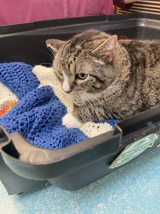 State Street Animal Hospital Picture 2