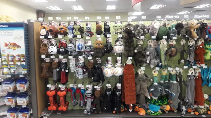 Petco Picture 8