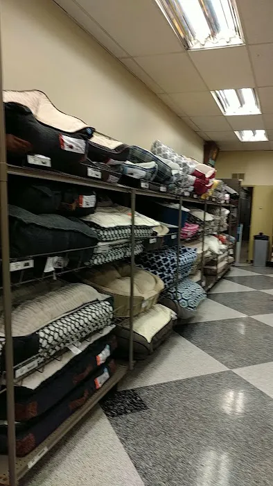 Petco Picture 6
