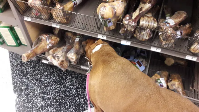 Petco Picture 5