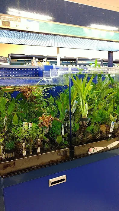 Petco Picture 4