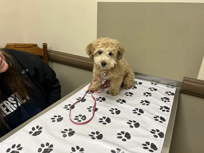 Perry Veterinary Clinic- Batavia Office Picture 1