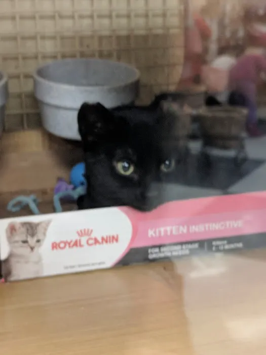 Petco Picture 5