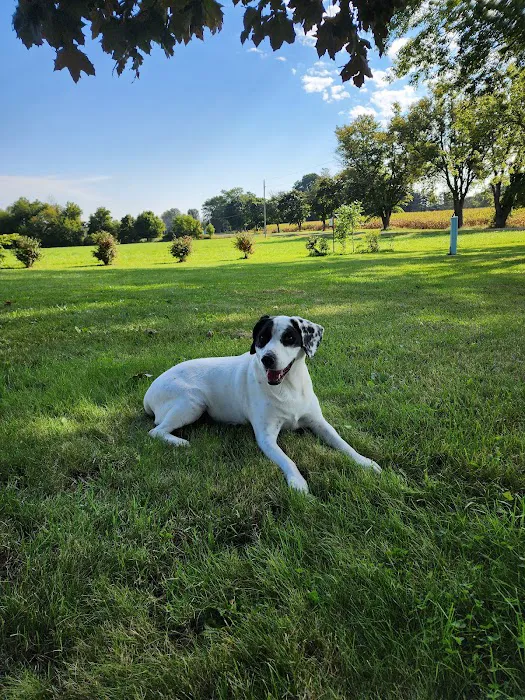 Pumpkin Hill Veterinary Clinic Picture 10