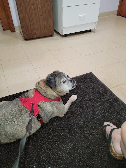 Pumpkin Hill Veterinary Clinic Picture 6