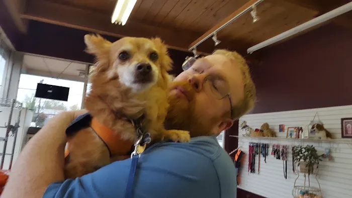 Paws n Milwaukie Picture 3