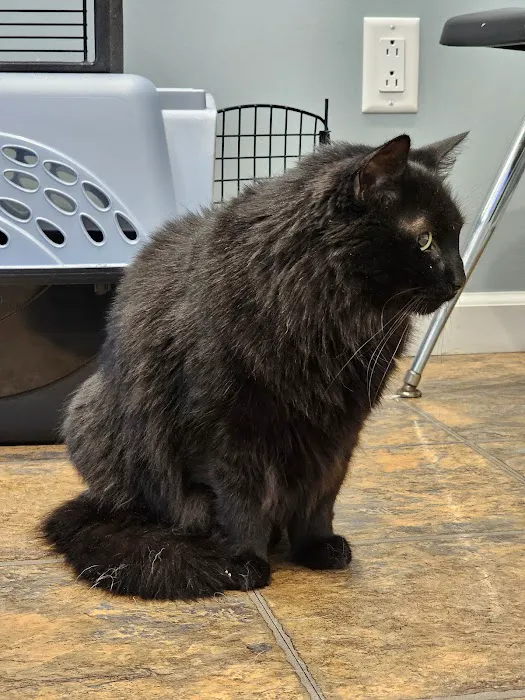Churchville Veterinary Hospital, P.C. Picture 2