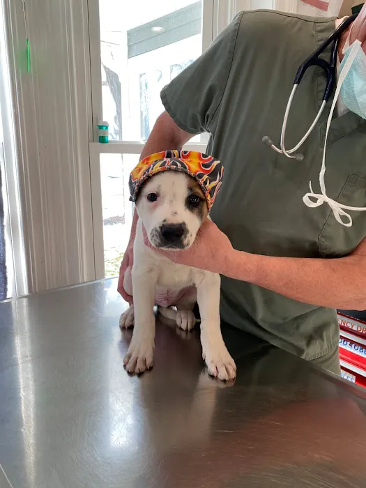 Churchville Veterinary Hospital, P.C. Picture 8