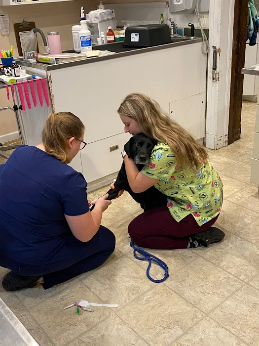 Churchville Veterinary Hospital, P.C. Picture 10