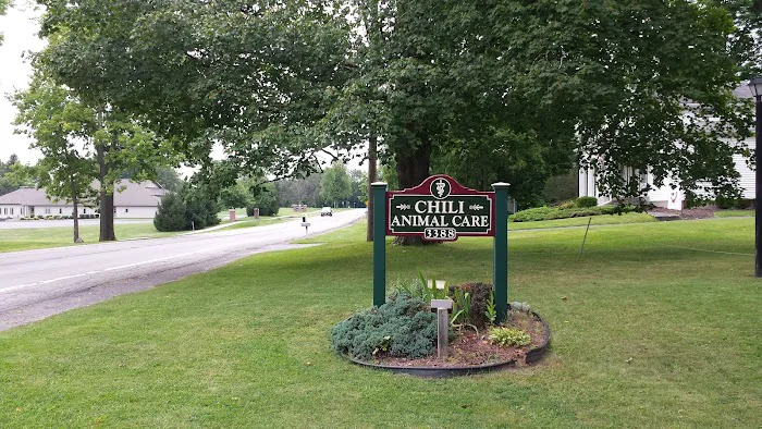 Chili Animal Care Picture 10