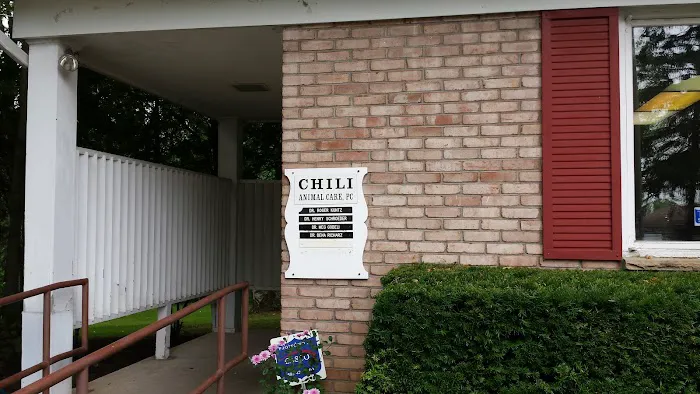 Chili Animal Care Picture 3