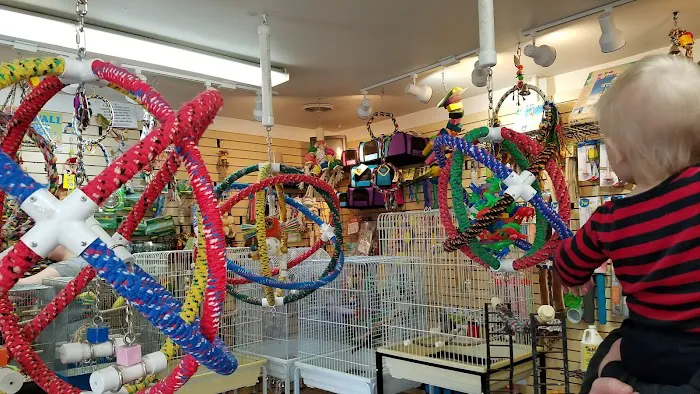 Bird Hut Inc. Picture 3