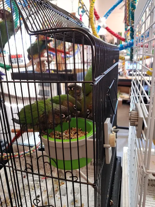 Bird Hut Inc. Picture 6