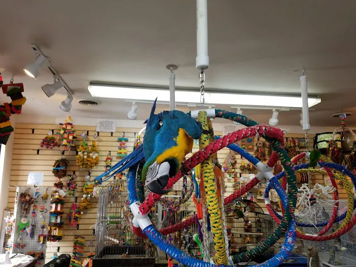 Bird Hut Inc. Picture 1