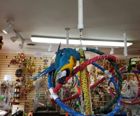 Bird Hut Inc.