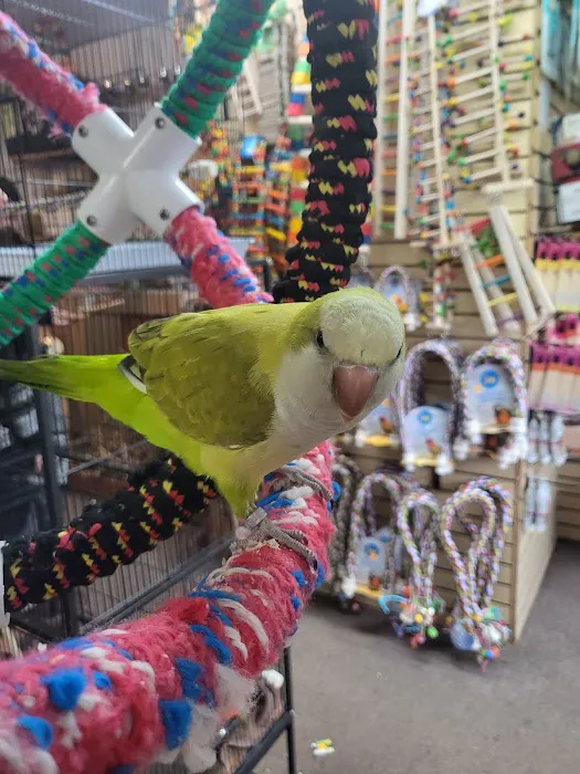 Bird Hut Inc. Picture 5