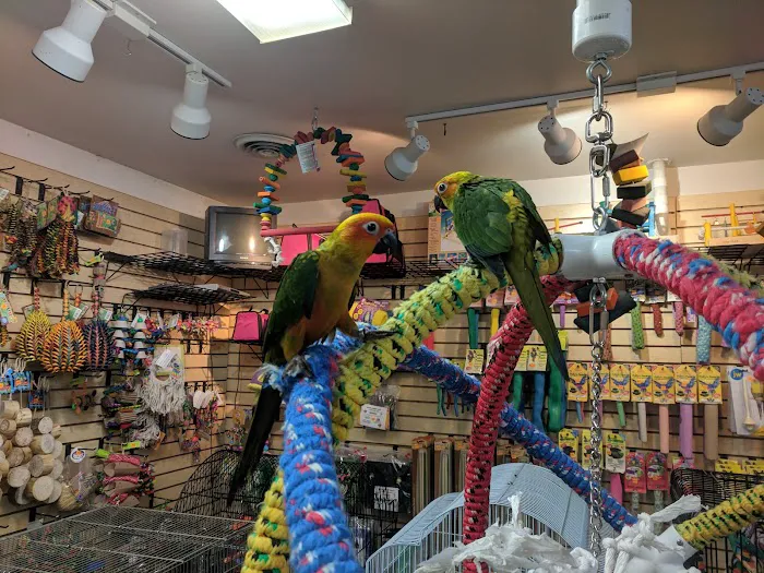 Bird Hut Inc. Picture 4